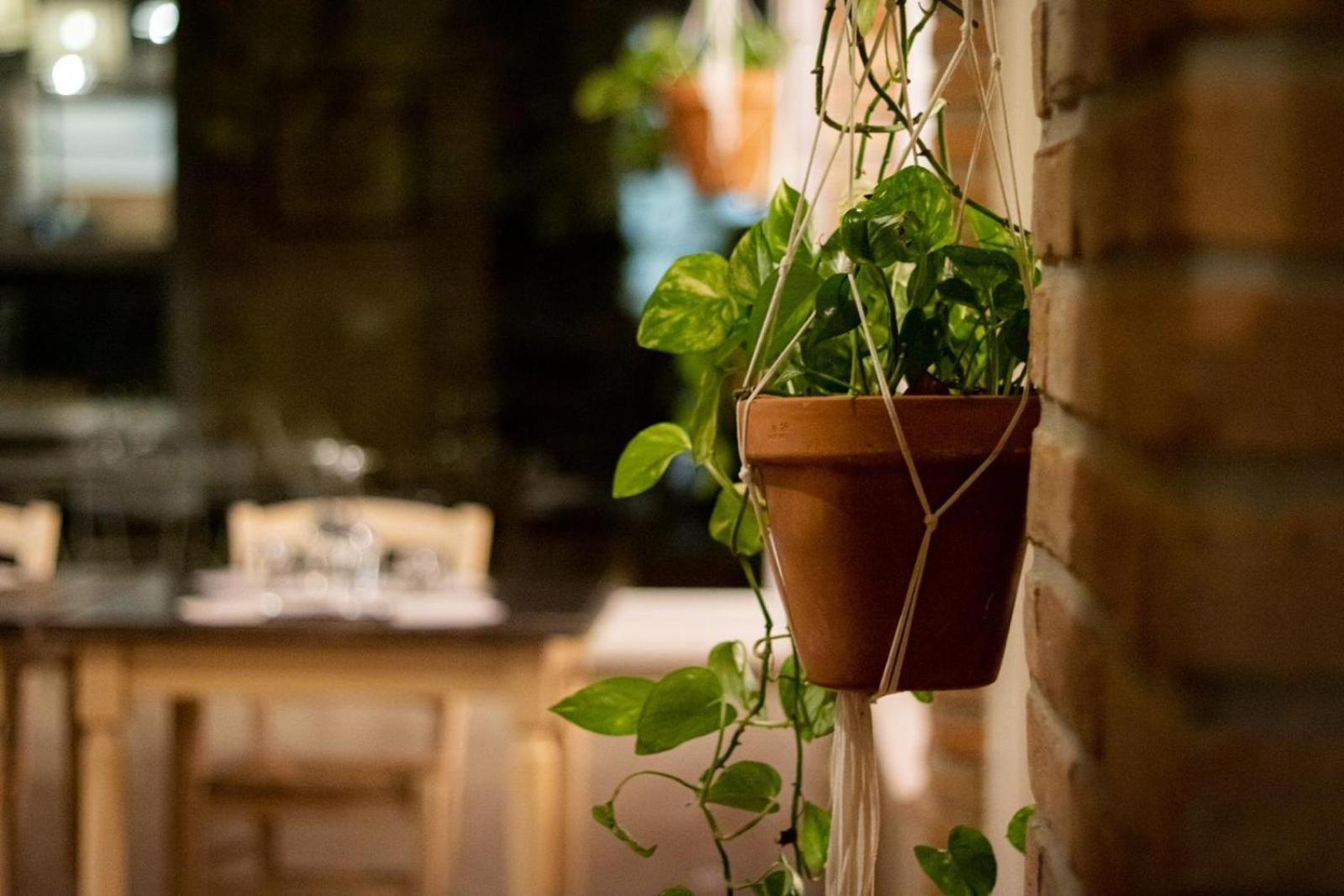 Agricola Casa Cucina Bottega Villa Cesena Exterior photo